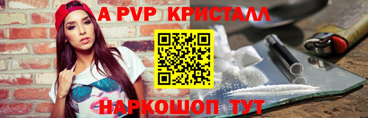A PVP СК КРИС Прокопьевск