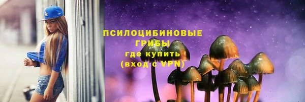 спиды Майский