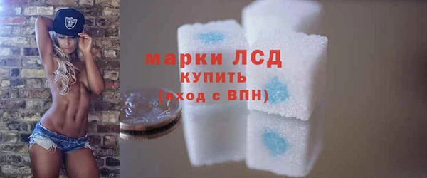 молекула духа Магадан