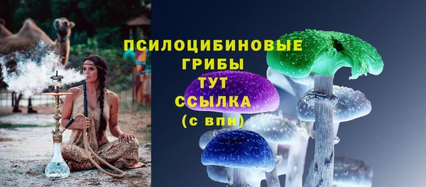 спиды Майский