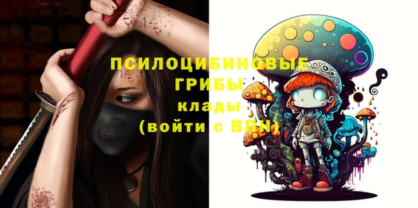 молекула духа Магадан