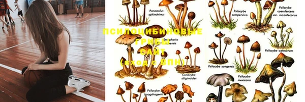молекула духа Магадан