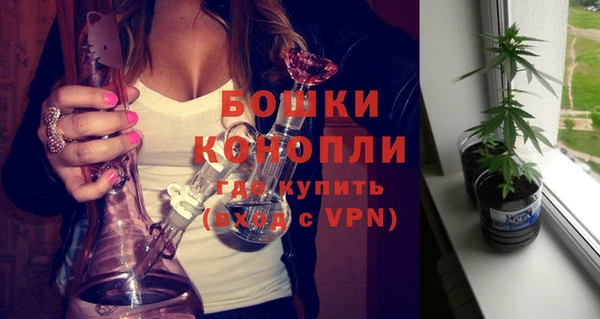 бошки Медногорск
