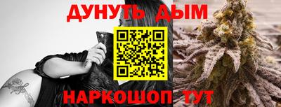 прущие крисы Бийск