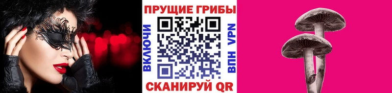 маркетплейс наркотические препараты  Прокопьевск  Галлюциногенные грибы прущие грибы  где купить наркоту 