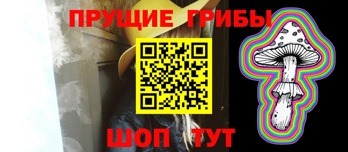 Галлюциногенные грибы Magic Shrooms  дарнет шоп  Прокопьевск  Вход с VPN 