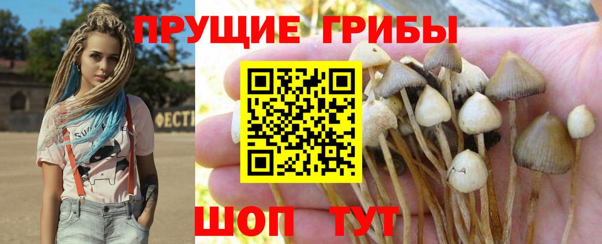 A PVP СК   Мефедрон   КОКАИН  Прокопьевск  Марихуана  ГАШИШ 