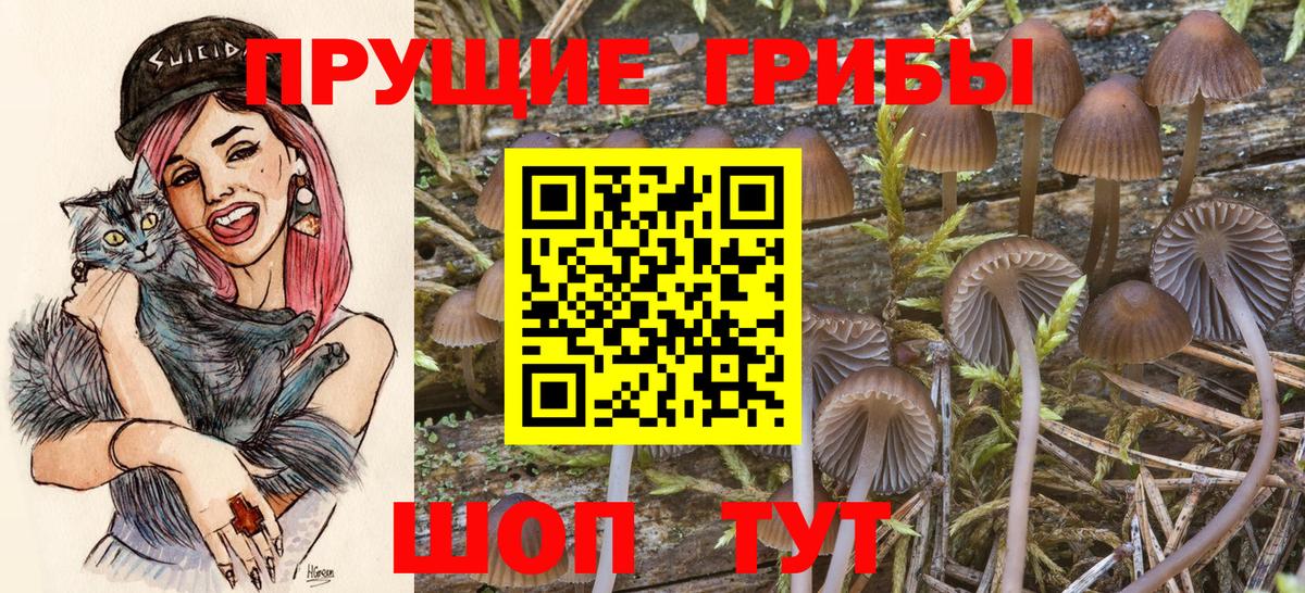 Псилоцибиновые грибы мухоморы Прокопьевск